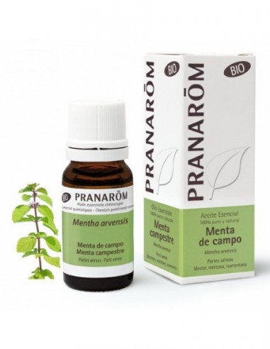Pranarôm Menta de campo - 10 ml