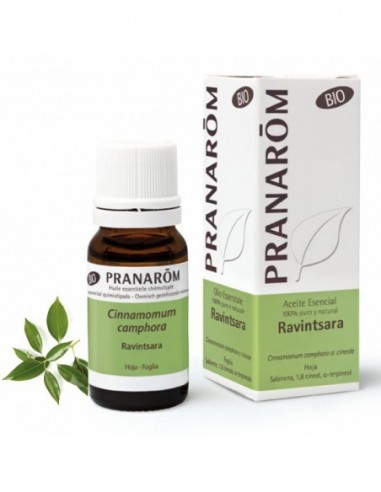Pranarôm Ravintsara - 10 ml