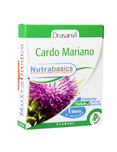 Cardo Mariano Cardo Mariano